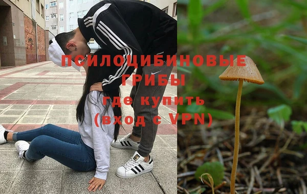 ALPHA PVP Алексин