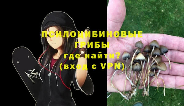 ALPHA PVP Алексин