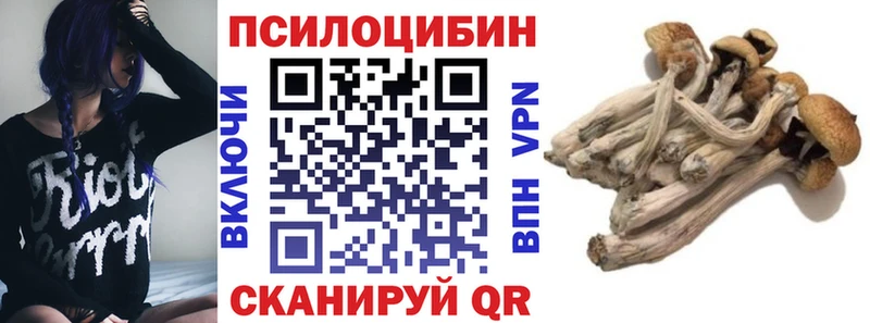 ОМГ ОМГ зеркало Чадан Галлюциногенные грибы Psilocybine cubensis дарнет шоп
